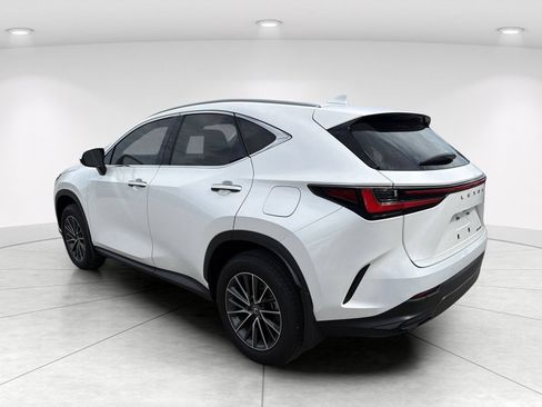 Used 2025 Lexus NX 250 FWD w/ Accessory Package (K3) image 6