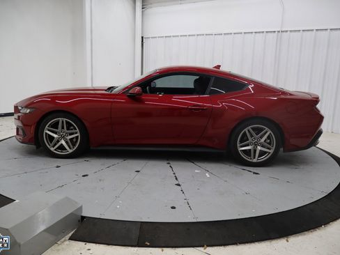 Used 2024 Ford Mustang Premium image 9