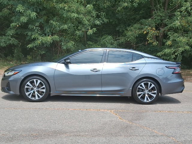 Used 2019 Nissan Maxima SR w/ Premium Package FWD image 2