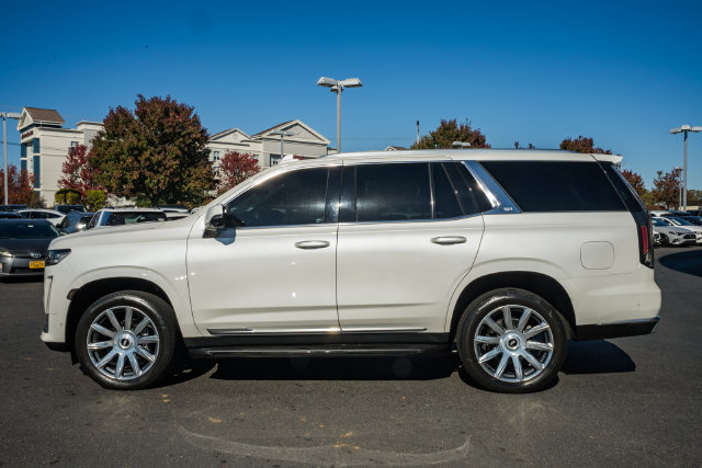 Used 2023 Cadillac Escalade Premium Luxury Platinum AWD/4WD image 4