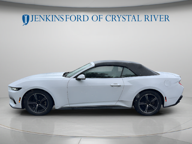 Used 2024 Ford Mustang Premium RWD image 11