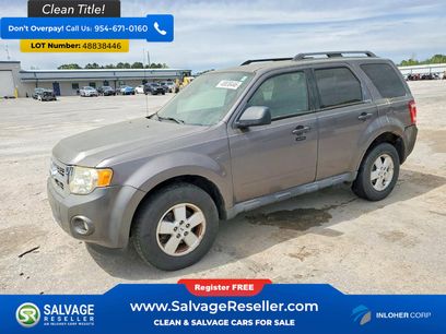 Used 2010 Ford Escape XLT
