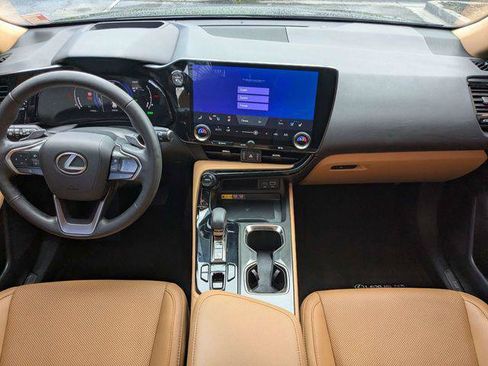 Certified 2025 Lexus NX 350h AWD w/ Cold Area Package image 13
