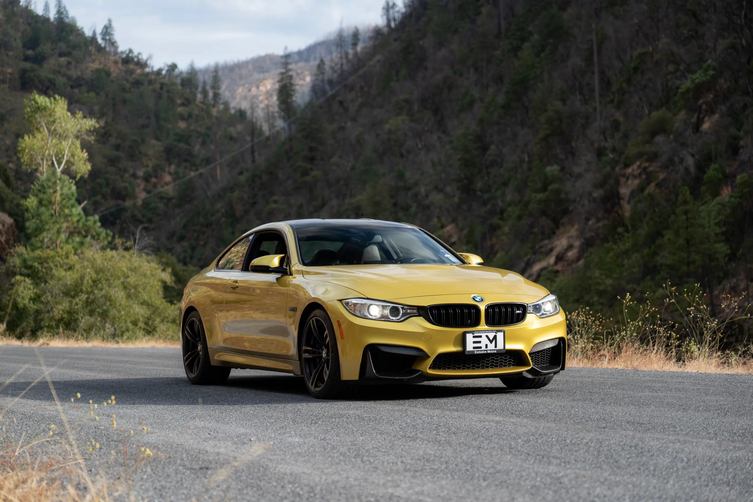 Used 2016 BMW M4 Coupe RWD image 20