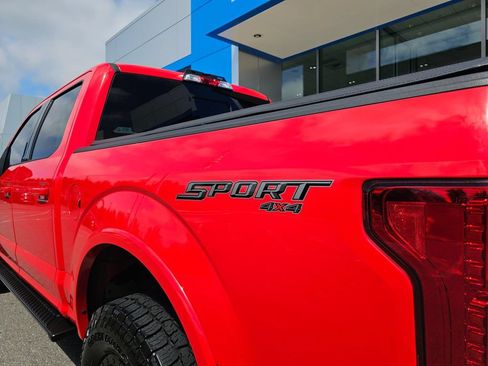 Used 2019 Ford F150 XLT w/ Equipment Group 302A Luxury AWD/4WD image 21