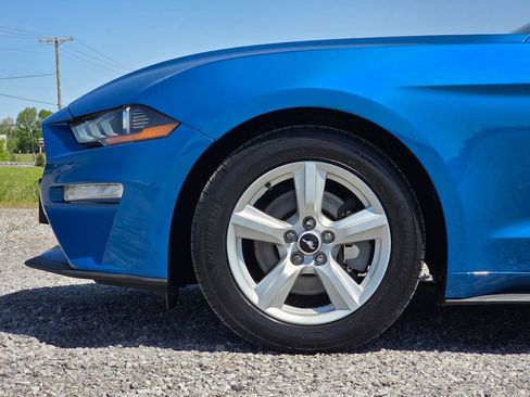Used 2019 Ford Mustang Coupe RWD image 9