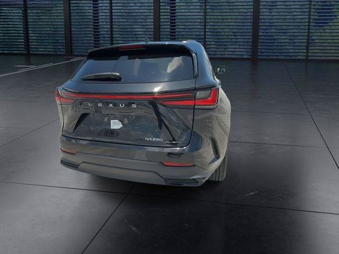 Certified 2025 Lexus NX 250 FWD w/ Cold Area Package image 7