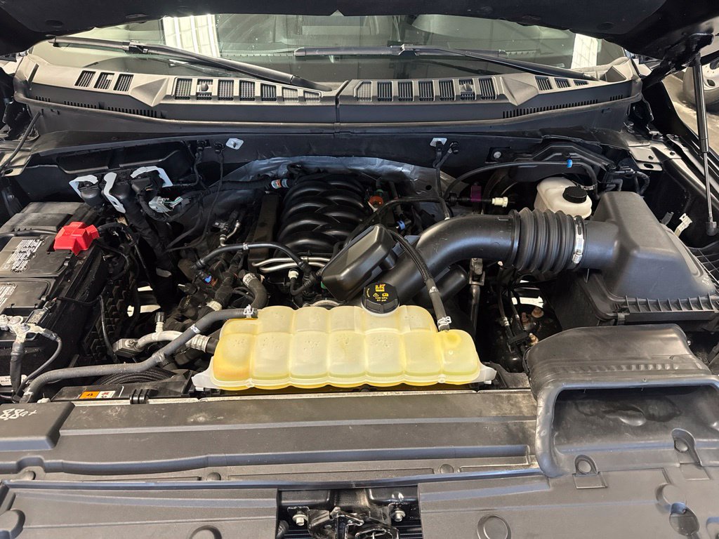 Used 2020 Ford F150 XLT w/ Equipment Group 302A Luxury AWD/4WD image 7