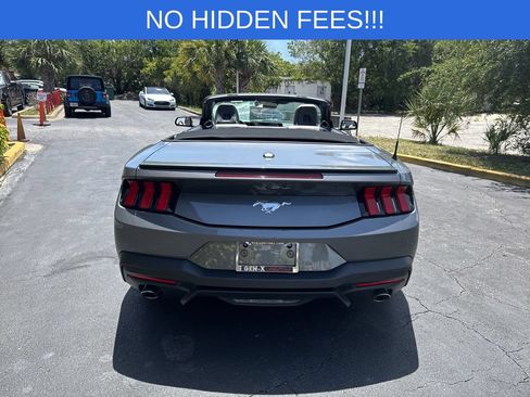 Used 2024 Ford Mustang Premium RWD image 6