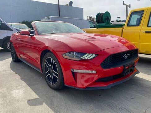 Used 2019 Ford Mustang Premium RWD image 1