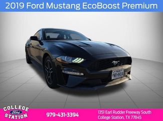 Used 2019 Ford Mustang Premium video 1