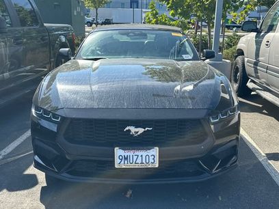 Used 2024 Ford Mustang Premium