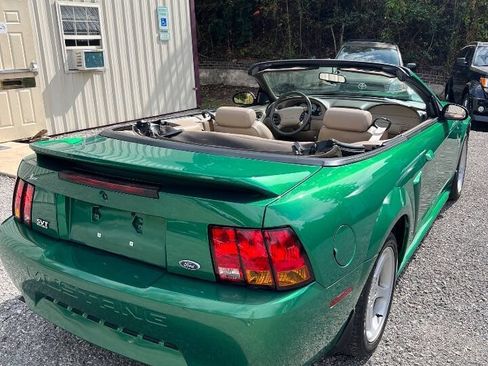 Used 1999 Ford Mustang Cobra RWD image 15