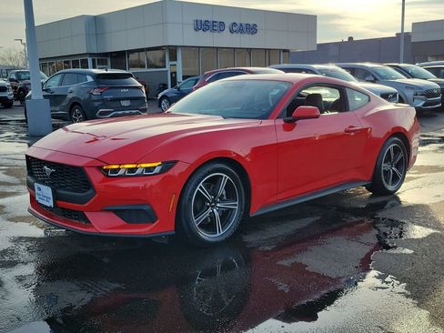 Certified 2024 Ford Mustang Premium image 8