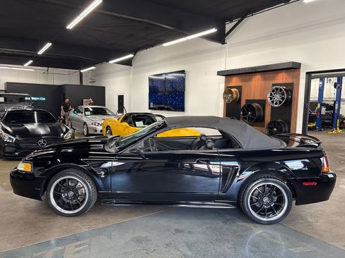 Used 1999 Ford Mustang Cobra RWD image 5
