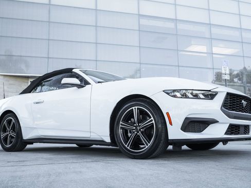 Used 2024 Ford Mustang EcoBoost image 3