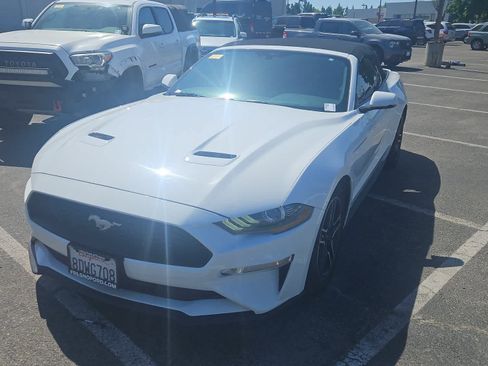 Used 2018 Ford Mustang Premium w/ Equipment Group 201A RWD image 1