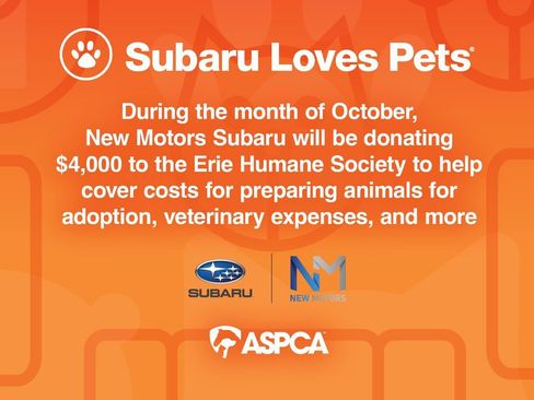 New 2025 Subaru WRX Premium image 4