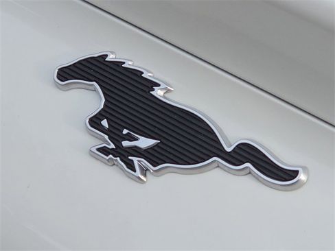 Used 2025 Ford Mustang Mach-E Select w/ Comfort Package Lite image 10