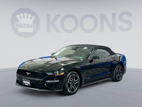 Used 2022 Ford Mustang Premium image 1