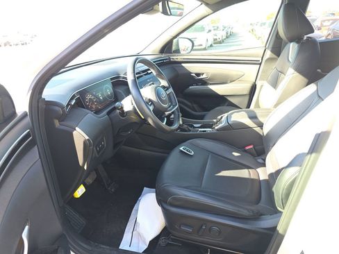 Used 2024 Hyundai Santa Cruz Limited image 9