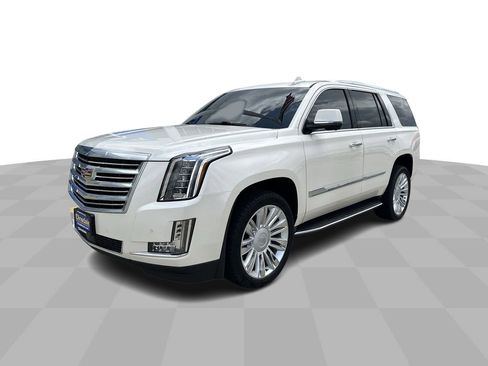 Used 2015 Cadillac Escalade Platinum AWD/4WD image 1