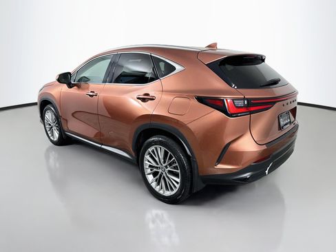 Certified 2025 Lexus NX 350h AWD w/ Cold Area Package image 5