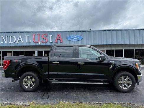 Used 2023 Ford F150 XLT w/ Equipment Group 302A High AWD/4WD image 6
