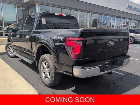 Used 2025 Ford F150 XLT w/ Equipment Group 301A Standard AWD/4WD image 6