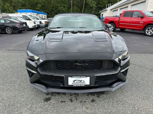 Used 2019 Ford Mustang Premium RWD image 3