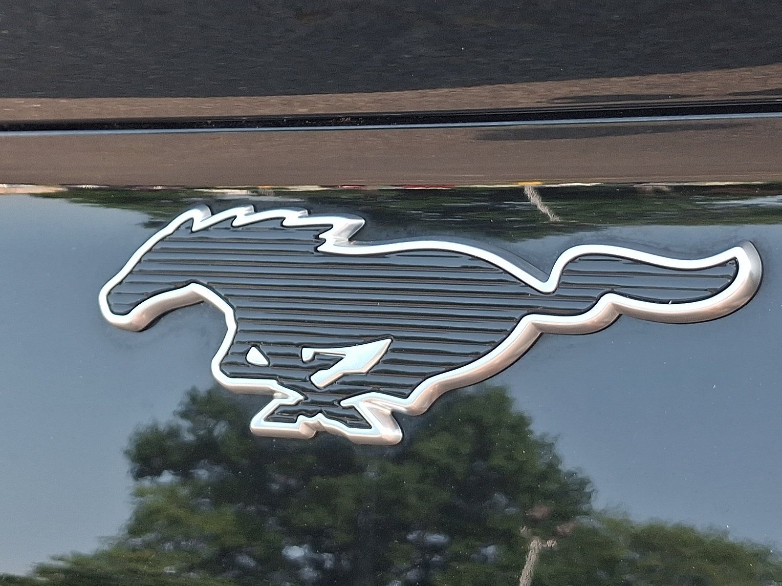Used 2021 Ford Mustang Mach-E Select w/ Comfort/Appearance Package RWD image 29
