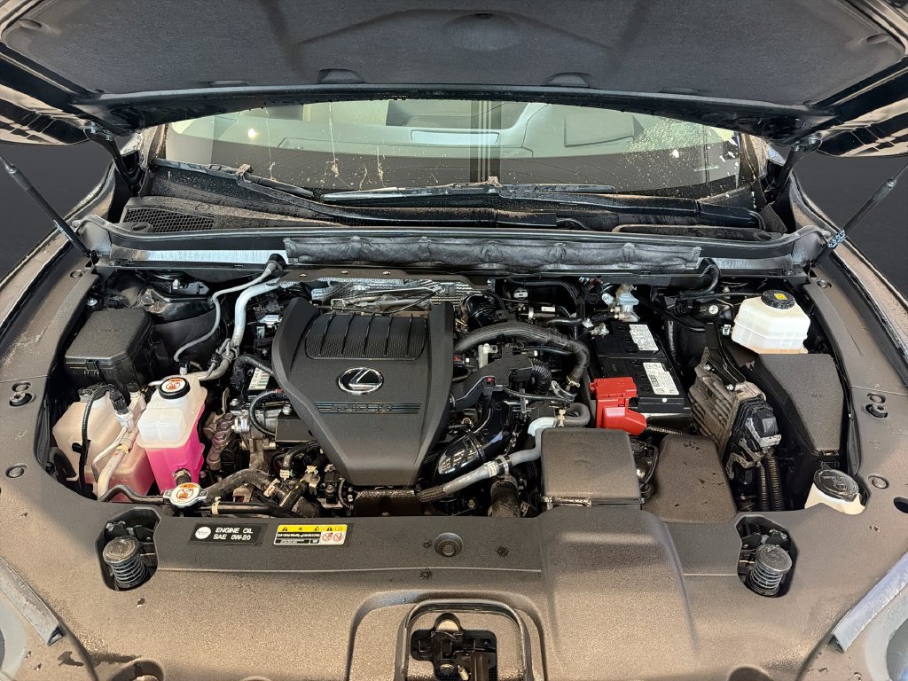 Certified 2023 Lexus RX 350 FWD w/ Cold Area Package image 14