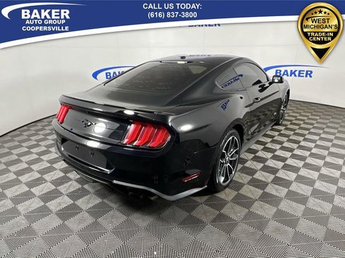 Used 2019 Ford Mustang EcoBoost w/ Equipment Group 101A image 9