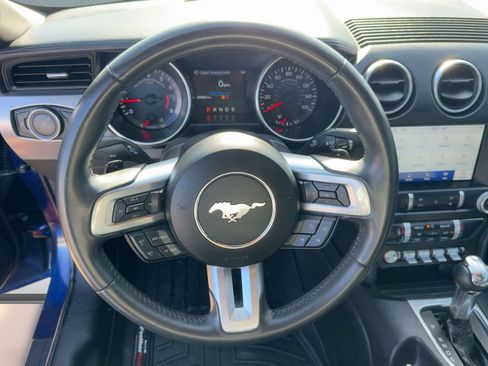 Used 2019 Ford Mustang EcoBoost w/ Equipment Group 101A image 13