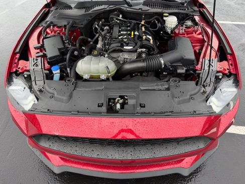 Certified 2023 Ford Mustang EcoBoost w/ Equipment Group 101A image 29