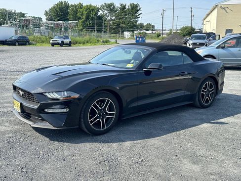Used 2019 Ford Mustang Premium RWD image 4