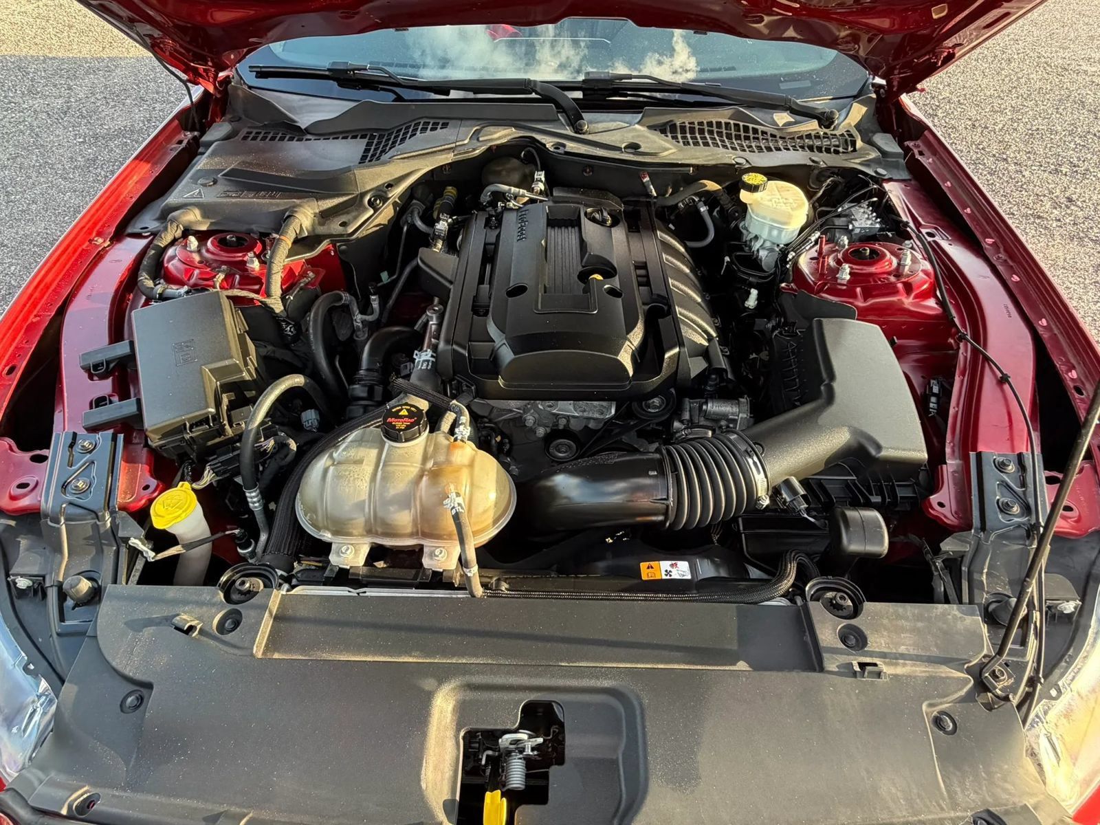 Used 2016 Ford Mustang Premium w/ Equipment Group 201A RWD image 26