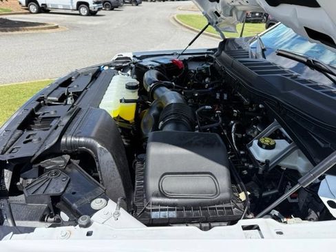 Used 2025 Ford F150 XLT w/ Equipment Group 301A Standard AWD/4WD image 30