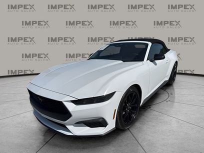 Used 2026 Ford Mustang Convertible w/ Mustang Nite Pony Package