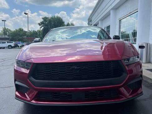 Used 2025 Ford Mustang Coupe RWD image 13