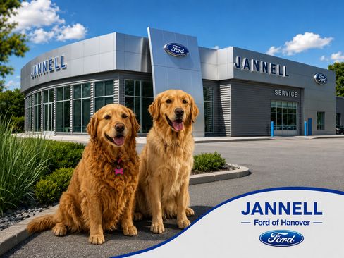 Used 2023 Ford F150 Limited AWD/4WD image 39