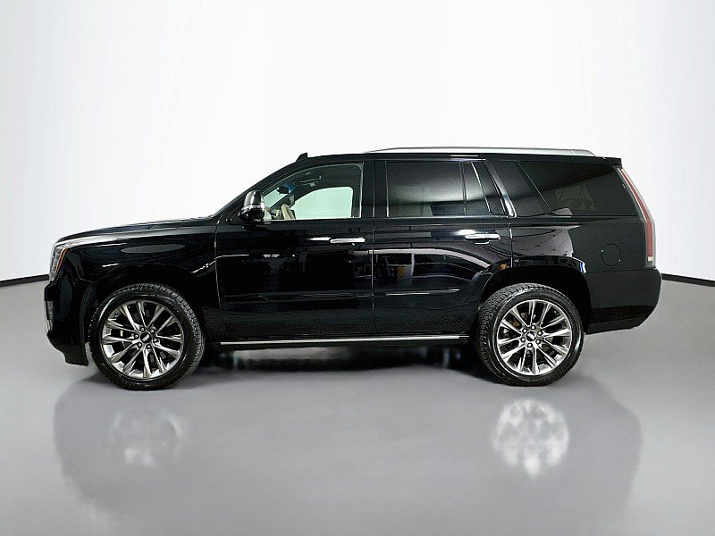 Used 2019 Cadillac Escalade Platinum w/ Escalade Sport Edition AWD/4WD image 2