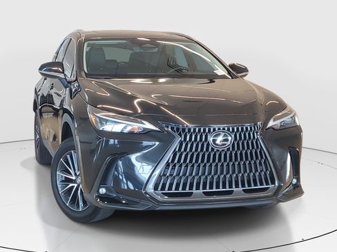 Used 2024 Lexus NX 250 FWD w/ Cold Area Package image 2