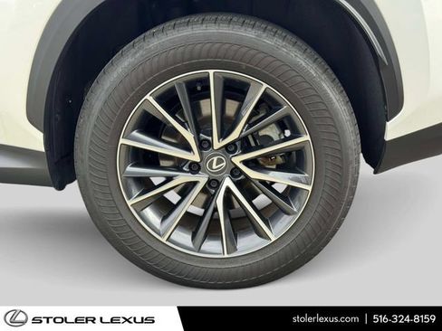 Used 2025 Lexus NX 350h AWD w/ Cold Area Package image 8