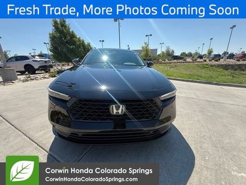 Used 2025 Honda Accord EX-L image 5