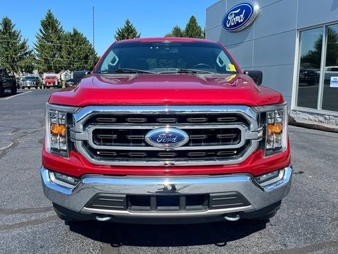 Used 2021 Ford F150 XLT w/ Equipment Group 302A High AWD/4WD image 9