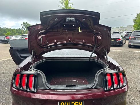 Used 2018 Ford Mustang GT w/ Equipment Group 301A RWD image 18