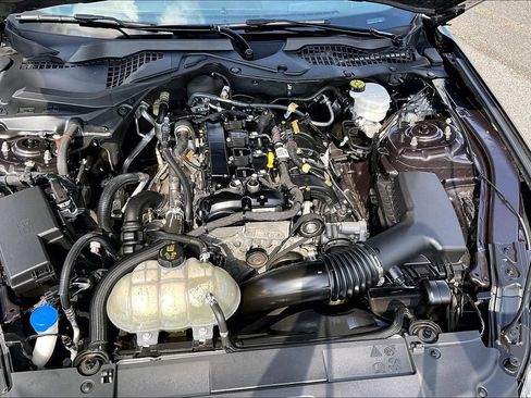 Used 2023 Ford Mustang Coupe w/ Equipment Group 101A RWD image 32