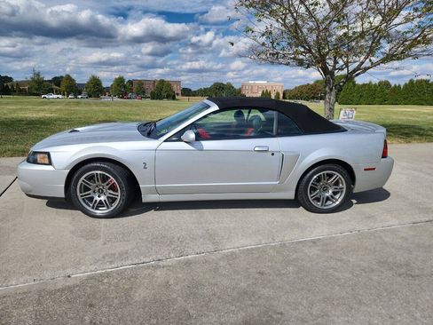 Used 2003 Ford Mustang Cobra RWD image 4