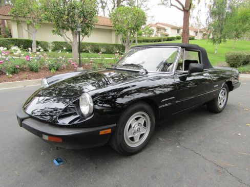 Used 1987 Alfa Romeo Spider Veloce image 9